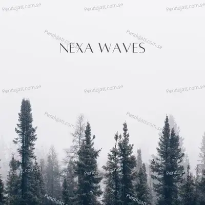 Nex Waves - Lakhan Hire album cover 