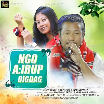 Ngo Airup Digdag - Binod Bio Pegu album cover 