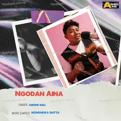 Ngodan Aina - Aboni Mili album cover 