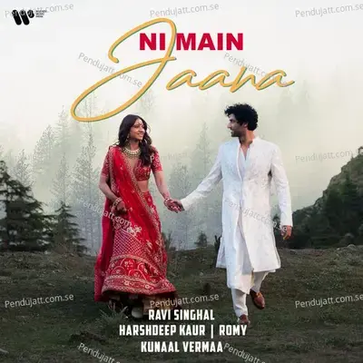 Ni Main Jaana - Ravi Singhal album cover 