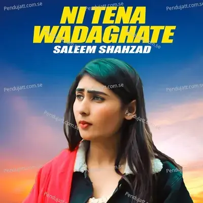 Ni Tena Wadaghate - Saleem Shahzad album cover 