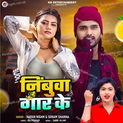 Nibuaa Gaar Ke - Karan Nigam album cover 