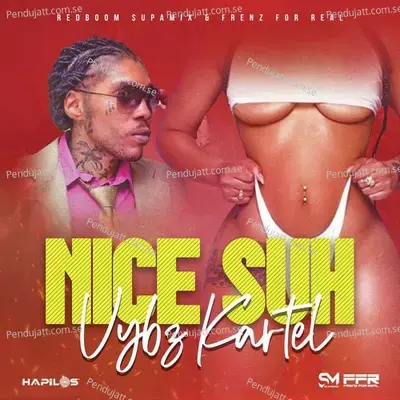 Nice Suh - Vybz Kartel album cover 