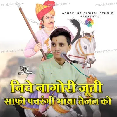 Niche Nagori Juti Safo Pachrangi Bhaya Tejal Ko - Aakriti Mishra album cover 