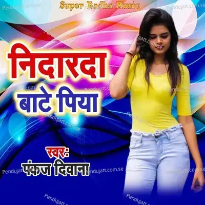 Nidarda Bate Piya - Pankaj Diwana album cover 