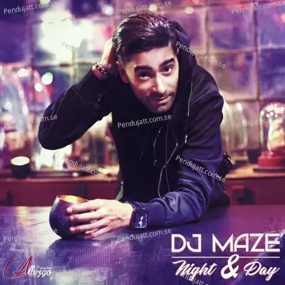 Love You Ti Amo - DJ Maze album cover 