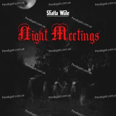 Night Meetings - Shatta Wale album cover 