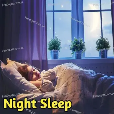 Night Sleep - Lakhan Hire cover album