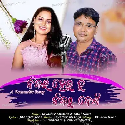 Nijara Helu Tu Nijathu Besi - Jayadev Mishra album cover 