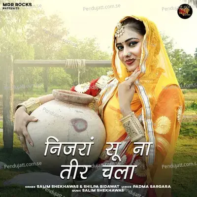 Nijra Su Na Teer Chala - Salim Shekhawas album cover 