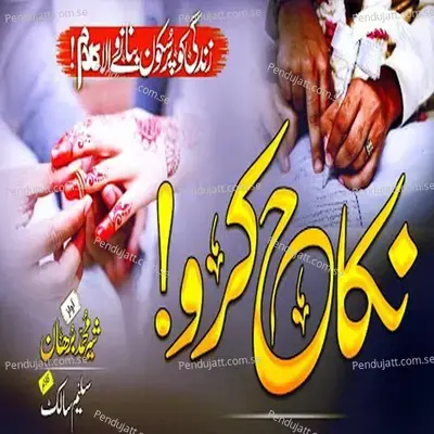 Tu Shaheen Hai - Hafiz Ghufran album cover 