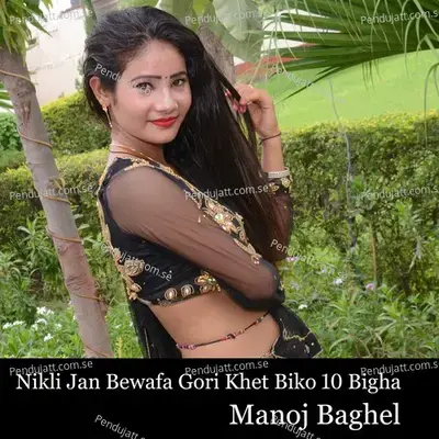 Nikli Jan Bewafa Gori Khet Biko 10 Bigha - Manoj Baghel album cover 