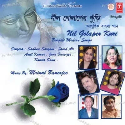 Megh Soria - June Banerjee album cover 
