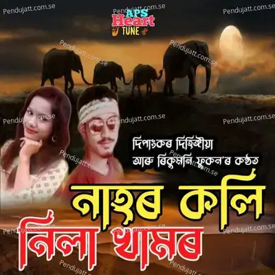 Nila Khamor - Dipankar Dihingia album cover 