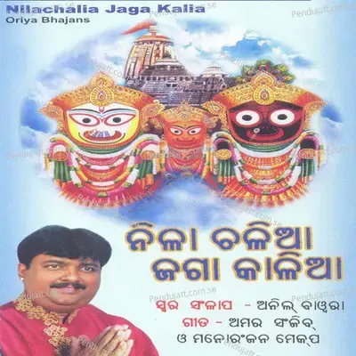 Kala Megha Saji - Anil Bawra album cover 