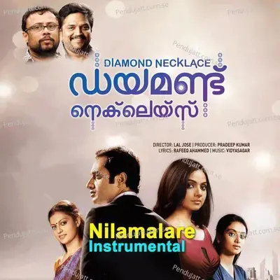 Nilamalare - Vidyasagar album cover 