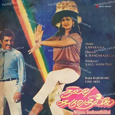 Paari Jaadham - Ilaiyaraaja album cover 