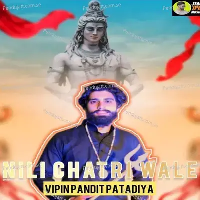 Nili Chatri Wale - Vipin Pandit Patadiya album cover 