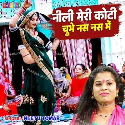 Nili Meri Koti Chubhe Nas Nas Me - Neetu Tomar album cover 