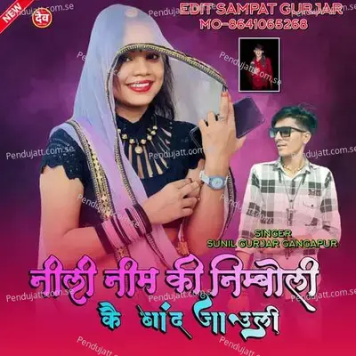 Nili Nim Ki Nimboli Kai Band Jaungi - Sunil Gurjar Gangapur album cover 