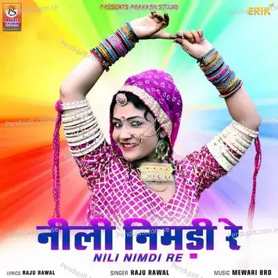 Nili Nimdi Re - Raju Rawal album cover 