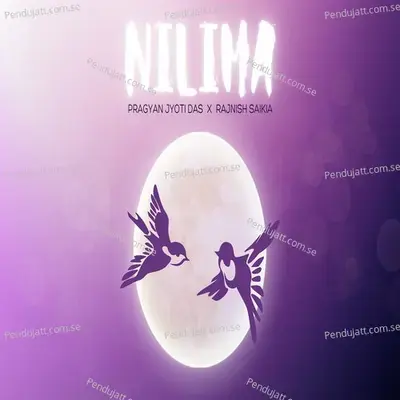 Nilima - Pragyan Jyoti Das album cover 