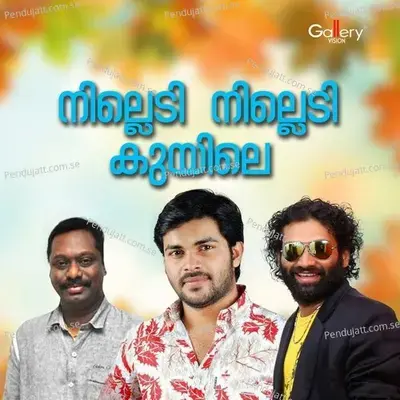 Nee Entathalle Omale - Shafi Kollam album cover 