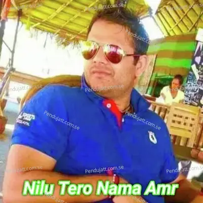 Nilu Tero Nama Amr - Santosh Gurjar album cover 