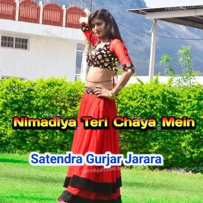 Nimadiya Teri Chaya Mein - Satendra Gurjar Jarara