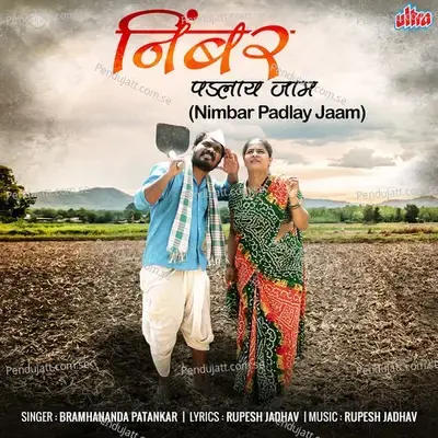 Nimbar Padlay Jaam - Bramhananda Patankar album cover 