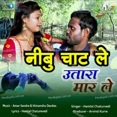 Nimbu Chat Le Utara Mar Le - Hemlal Chaturvedi album cover 