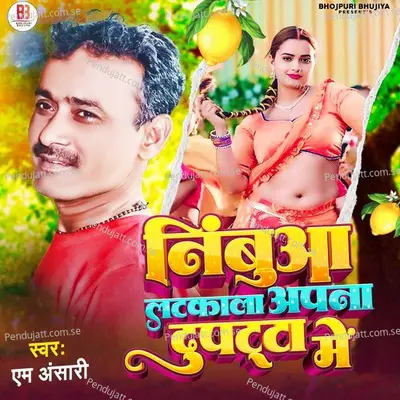 Nimbuya Latkala Apna Dupata Me - AM Ansari album cover 