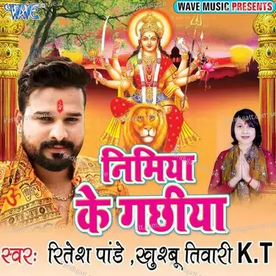 Lalaki Chunariya - Ritesh Pandey album cover 