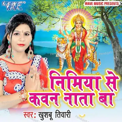 Baghawa Puchhela Devi Mai Se - Khushboo Tiwari album cover 