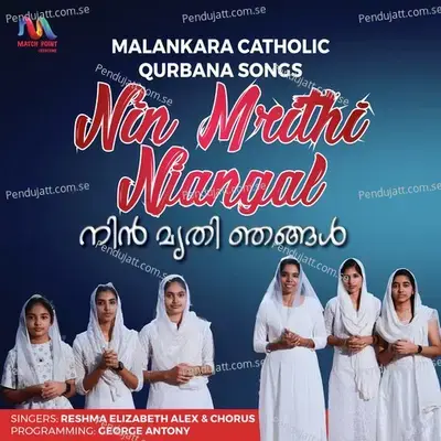 Nin Mrithi Njangal - Reshma Elizabeth Alex album cover 