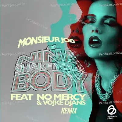 Nina Shake Your Body - Monsieur Job album cover 