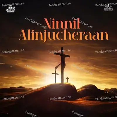 Ninnil Alinjucheraan - Mohan Sithara album cover 