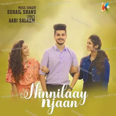 Ninnilaay Njaan - Suhail Shanu album cover 