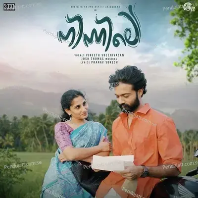 Puthu Niramai - Vineeth Sreenivasan album cover 