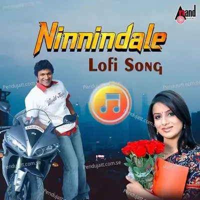 Ninnindale Lofi Song - Sonu Nigam album cover 