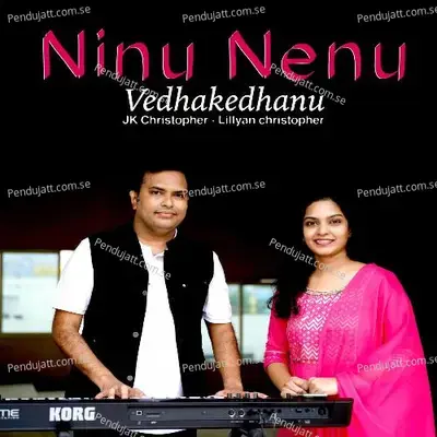 Ninu Nenu Vedhakedhanu - JK Christopher album cover 