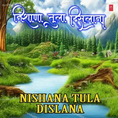 Mi Aale Nighale - Anuradha Paudwal album cover 