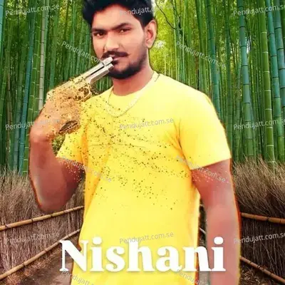 Nishani - Aman Rajput album cover 