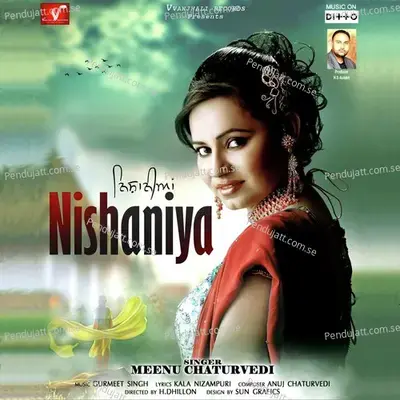 Nishaniya - Meenu Chaturvedi album cover 