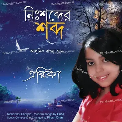 Tomaye Bhule Thaka - Erica album cover 