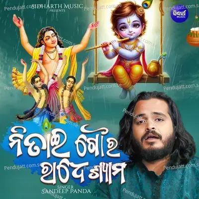 Nitai Goura Radhe Shyam - Sandeep Panda album cover 