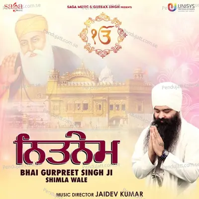 Anand Sahib - Bhai Gurpreet Singh Ji Shimla Wale album cover 