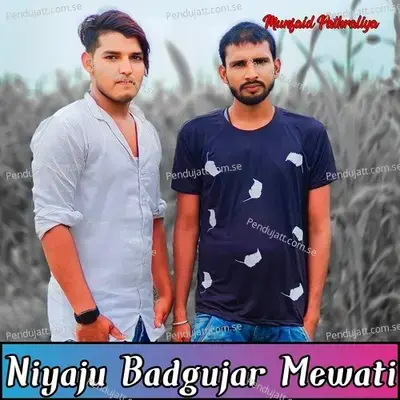 Niyaju Badgujar Mewati - Munfaid Pathraliya album cover 