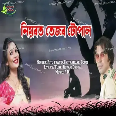 Niyarot Tezor Tupal - Ritu Pratim album cover 