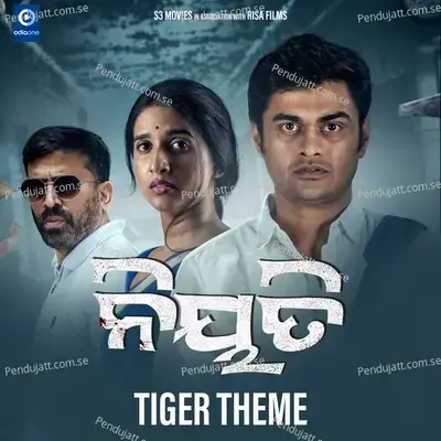 Niyati - Tiger Theme - Nabs album cover 